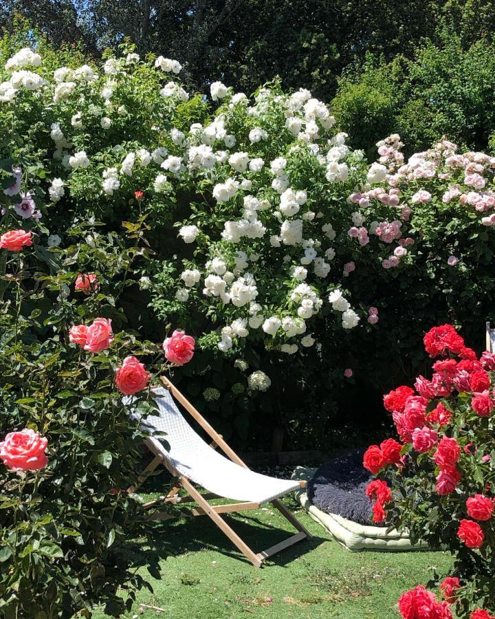 Lulu en Provence Bed and Breakfast LʼIsle-sur-la-Sorgue Buitenkant foto