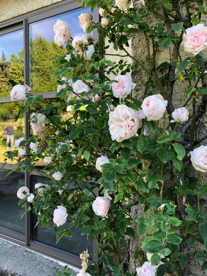 Lulu en Provence Bed and Breakfast LʼIsle-sur-la-Sorgue Buitenkant foto